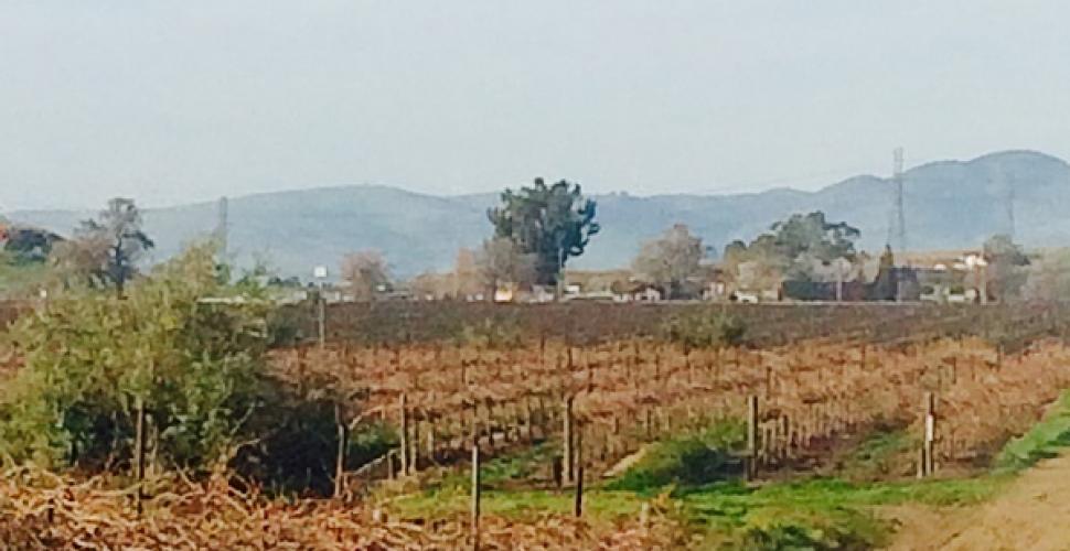 boblivermorevineyards_030216_3