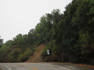 getting-back-on-top-of-redwood-road_30293038991_o