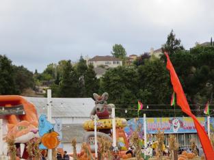 pumpkin-time-at-a-danville-church-san-ramon-valley-blvd_30262611442_o
