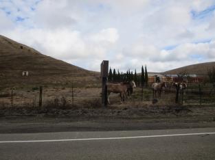 stables-along-norris-canyon_30262655502_o