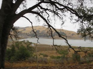view-of-calaveras-reservoir-and-sunol-wilderness-from-calaveras-road_30082004150_o