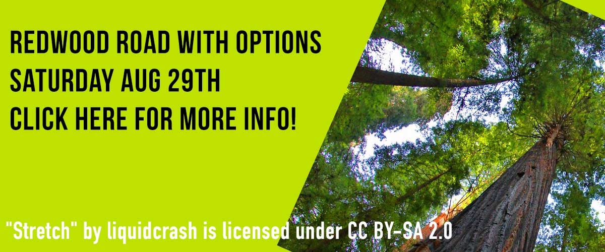 Saturated Photo of looking up view of redwood trees on the right side photo and on the right on a chartreuse colored background with black type saying Redwood Road with options on the first line and Saturday Aug 29th on the second line and Click here for more Info on the third line and "Stretch" by liquidcrash is licensed under CC BY-SA 2.0 in white type on the fourth line on the bottom left side.